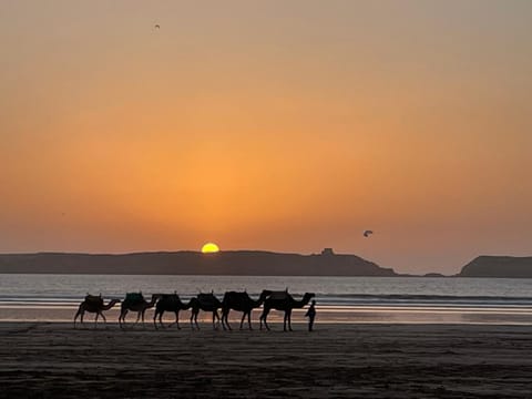 Beach, Sunset