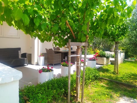 Property building, Day, Garden, Garden view