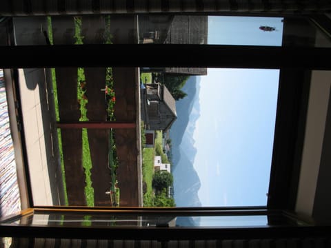 View (from property/room)