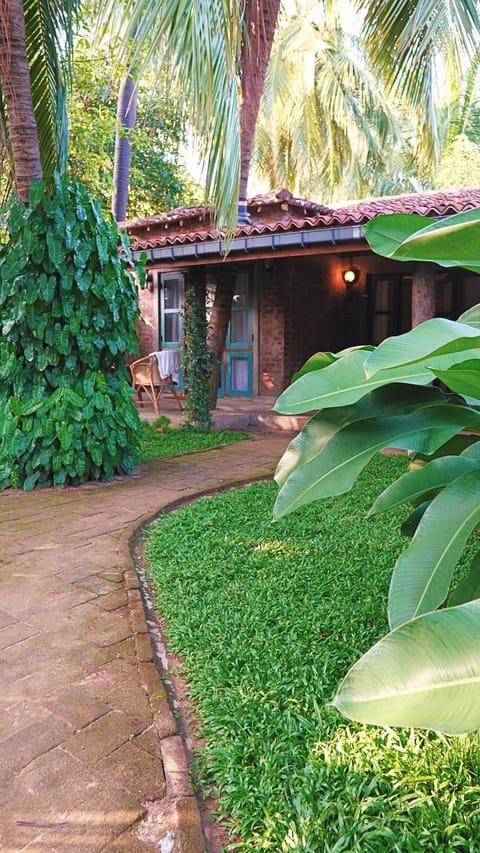 Property building, Garden view