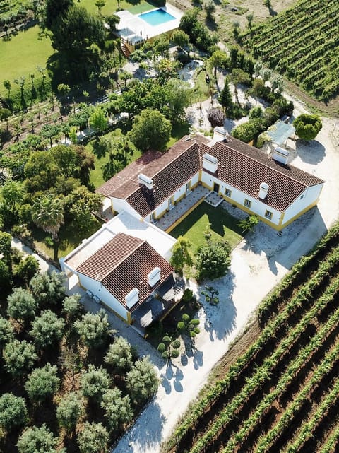 Bird's eye view, Location