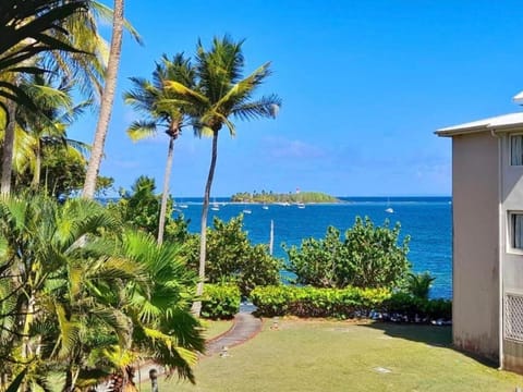 Garden, Garden view, Sea view