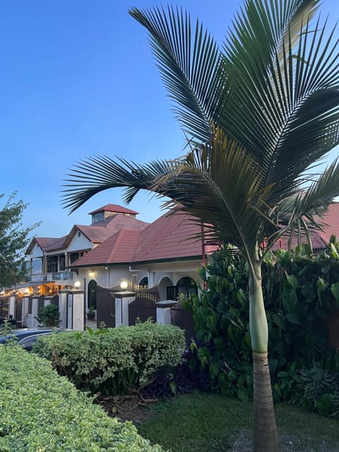 Property building, Day, Garden