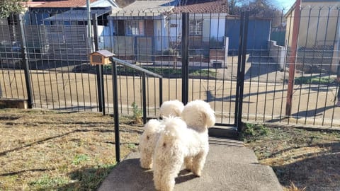 Patio, Off site, Day, Natural landscape, Winter, pet friendly