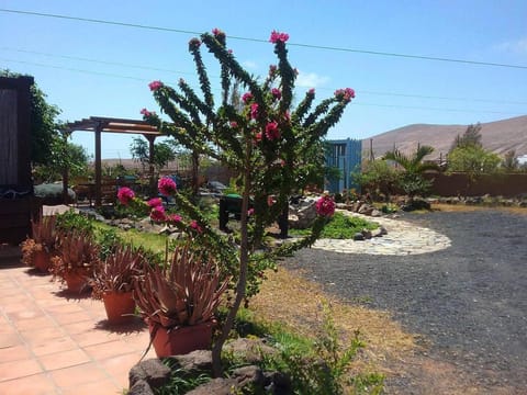 Property building, Garden