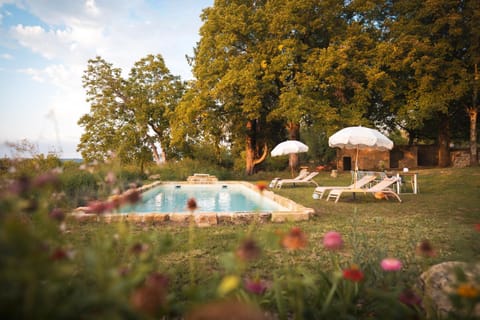 Natural landscape, Garden view, Pool view