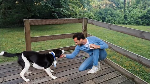 Day, Natural landscape, Pets, Guests