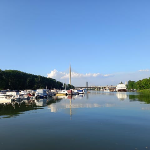 Lake view