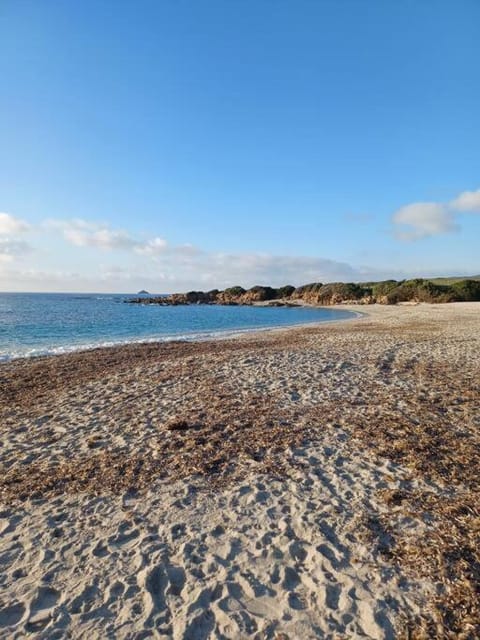 Les crêtes , magnifique T2 4 pers Route des Sanguinaires Apartment in Ajaccio