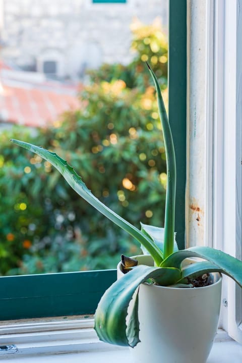 Ora, home on the sea. Apartment in Split