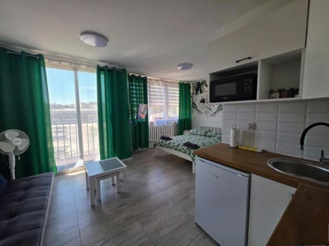 Kitchen or kitchenette, Bedroom