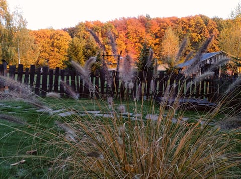 Natural landscape