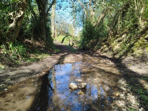 appartement 50 m2 vue mer Apartment in Normandy