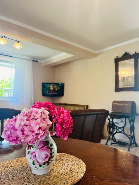 Luštica Old House Apartment in Kotor Municipality