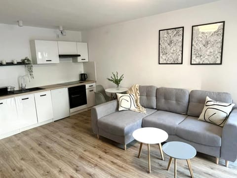 Kitchen or kitchenette, Living room, Seating area, Dining area, stove