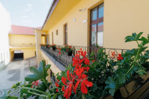 Property building, View (from property/room)