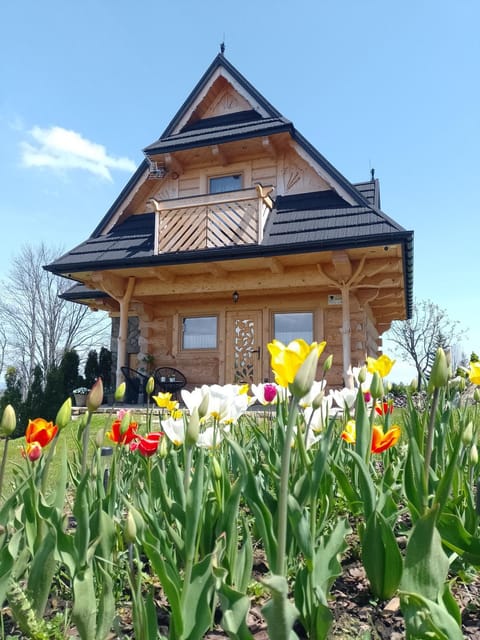 Property building, Spring, Day, Garden