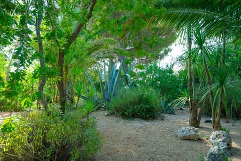 Garden view