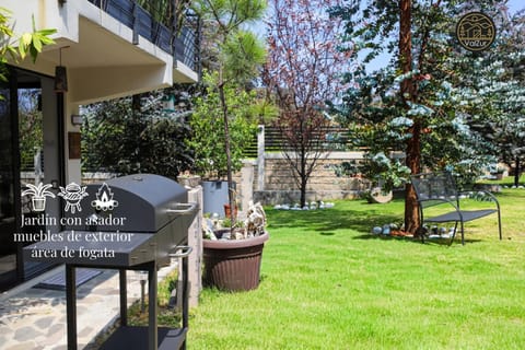 Patio, Day, Natural landscape, Garden, Garden view