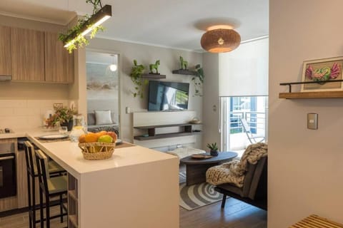 TV and multimedia, Kitchen or kitchenette, minibar, pet friendly, elevator
