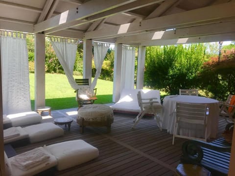 Patio, Garden, Garden view, sunbed