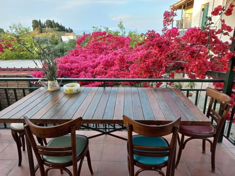 Balcony/Terrace, Balcony/Terrace