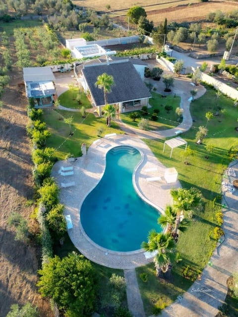 Property building, Spring, Day, Natural landscape, Bird's eye view, Garden, Garden view, Pool view, Swimming pool