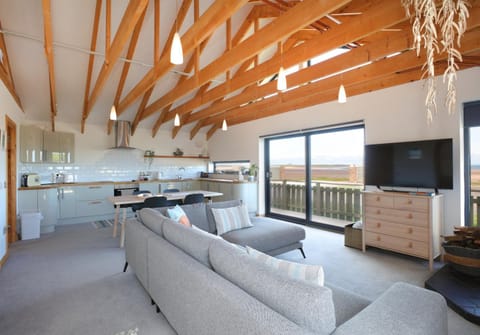 TV and multimedia, Kitchen or kitchenette, Living room, Dining area