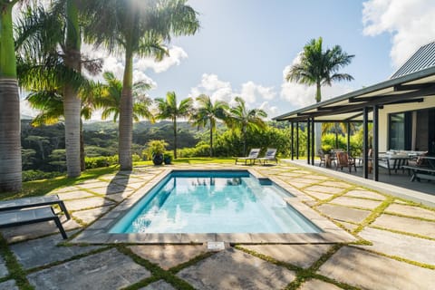 Garden, Swimming pool, sunbed