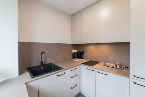 Frida Apartment Apartment in Lithuania