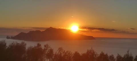 Natural landscape, Garden, Sunset