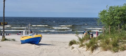 Natural landscape, Beach, Sea view
