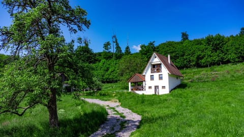 Property building, Natural landscape, Garden, Garden view, Landmark view