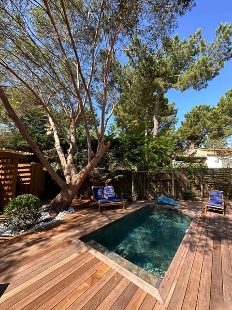 Garden, Pool view, Swimming pool, sunbed