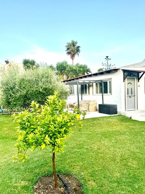 Property building, Natural landscape, Garden
