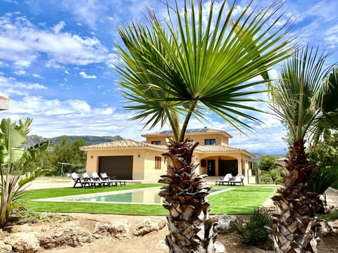Patio, Garden, Garden view