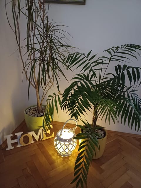 LAV Apartment in Zadar