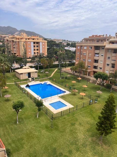 Garden, Swimming pool