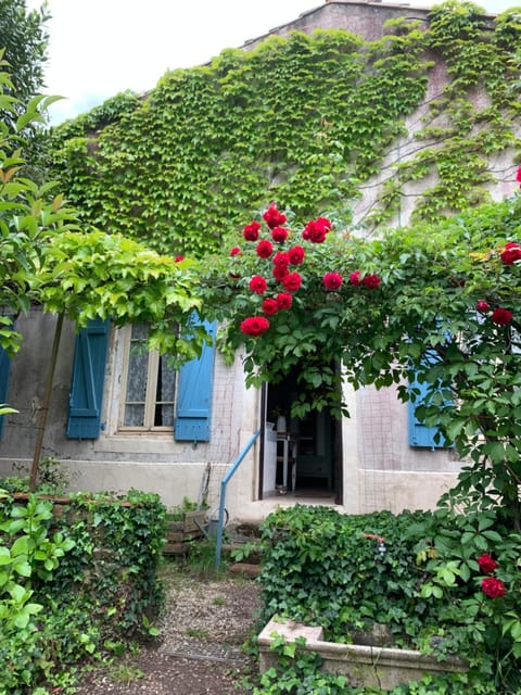 Property building, Day, Garden