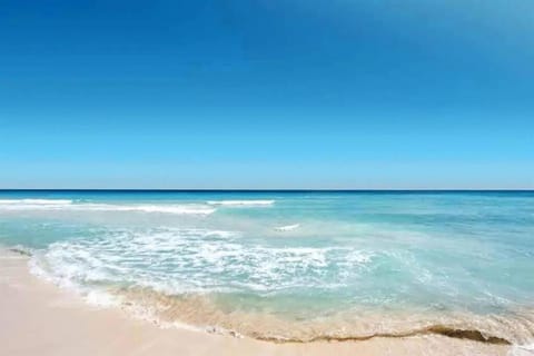 Lovely 1 Bedroom Unit Across from Lido Key Beach Apartment in Lido Key