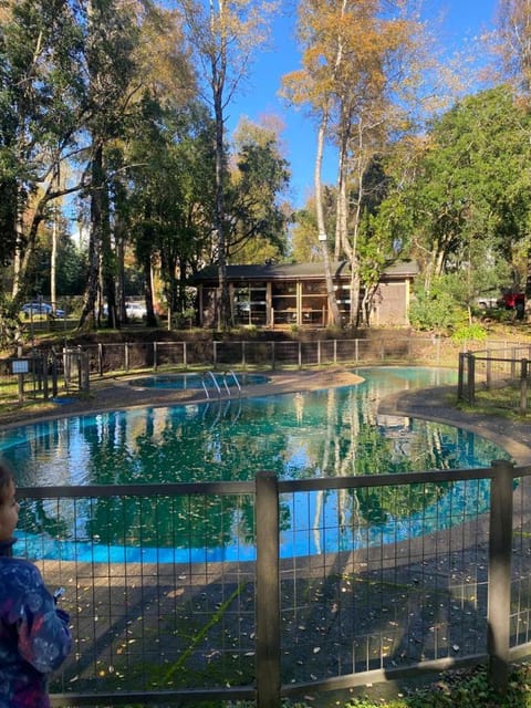 Garden, Garden view, Pool view, Swimming pool