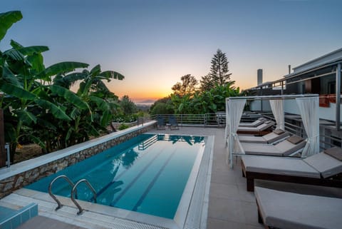 Day, Natural landscape, Pool view, Swimming pool, Sunrise, Sunset, sunbed