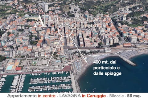 Neighbourhood, Bird's eye view