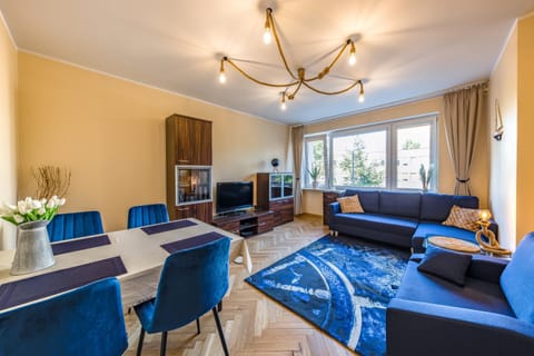 TV and multimedia, Living room, Seating area, Evening entertainment