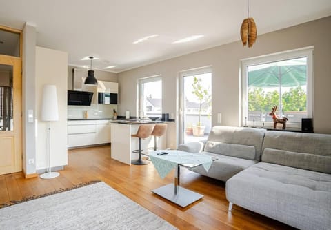 Living room, kitchen