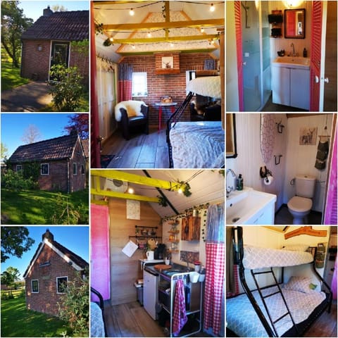 Kitchen or kitchenette, pet friendly