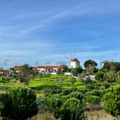 Natural landscape