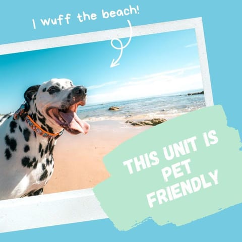 Dolphin Cove House in Port Aransas