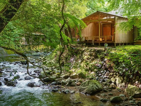 Property building, Natural landscape, River view