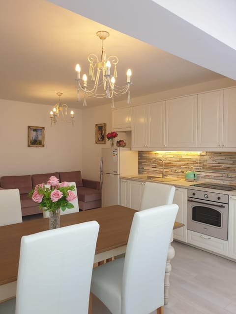 Kitchen or kitchenette, Living room, Seating area, Dining area, dishwasher, oven, stove